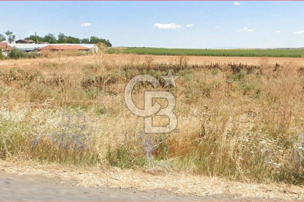 Hayrabolu Duğcalı Mahallesinde 3182m2 3 kat imarlı Satılık Arsa