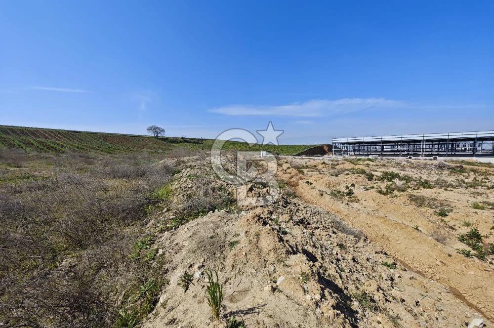Manisa Turgutlu Çepnidere'de Sanayi İmarlı Yatırıma Uygun