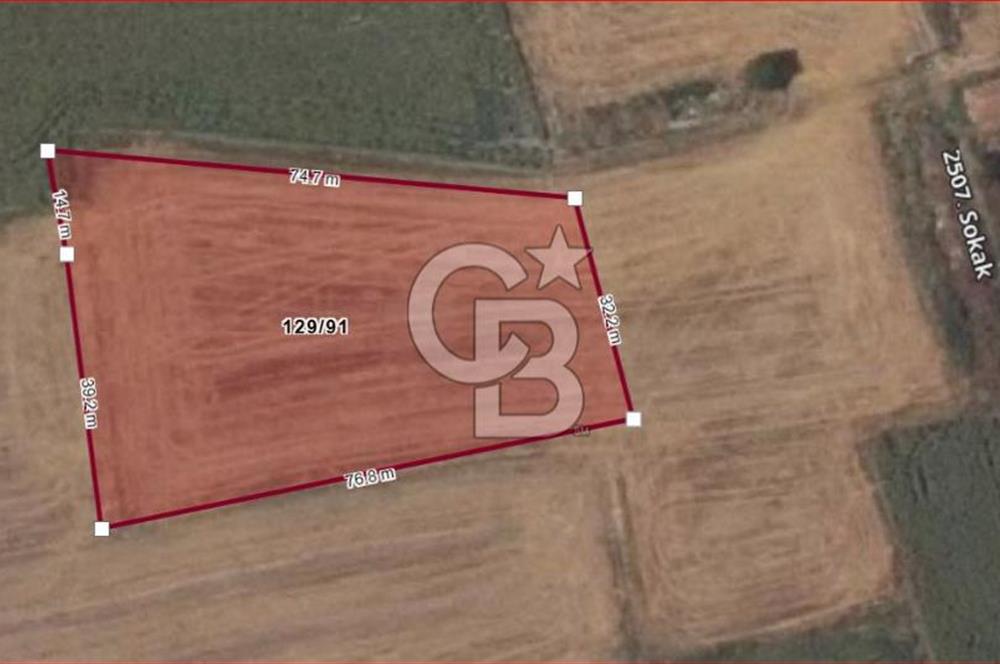 Hayrabolu Duğcalı Mahallesinde 3182m2 3 kat imarlı Satılık Arsa