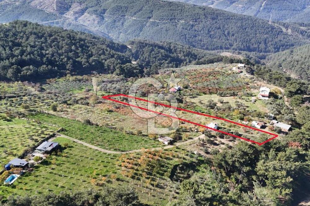 Manisa Yunusemre Turgutalp Karakoca Mevkii 4.109m2 Satılık Tarla