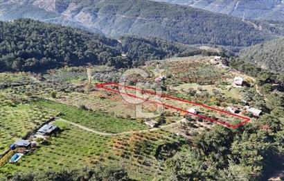 Manisa Yunusemre Turgutalp Karakoca Mevkii 4.109m2 Satılık Tarla