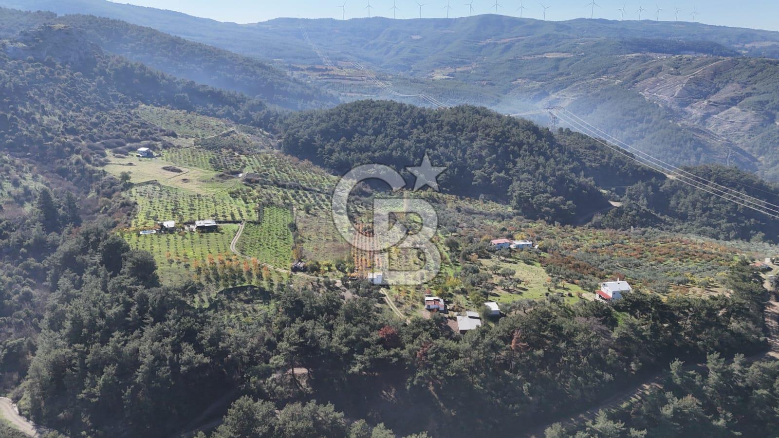 Manisa Yunusemre Turgutalp Karakoca Mevkii 4.109m2 Satılık Tarla