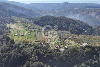 Manisa Yunusemre Turgutalp Karakoca Mevkii 4.109m2 Satılık Tarla - 2 - 340874