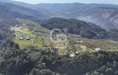 Manisa Yunusemre Turgutalp Karakoca Mevkii 4.109m2 Satılık Tarla