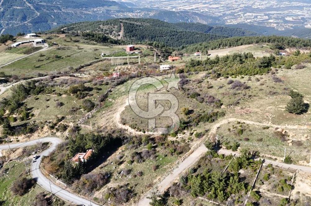 Manisa Yunusemre Satılık Tarla 7.874 m² - Turgutalp Yakını