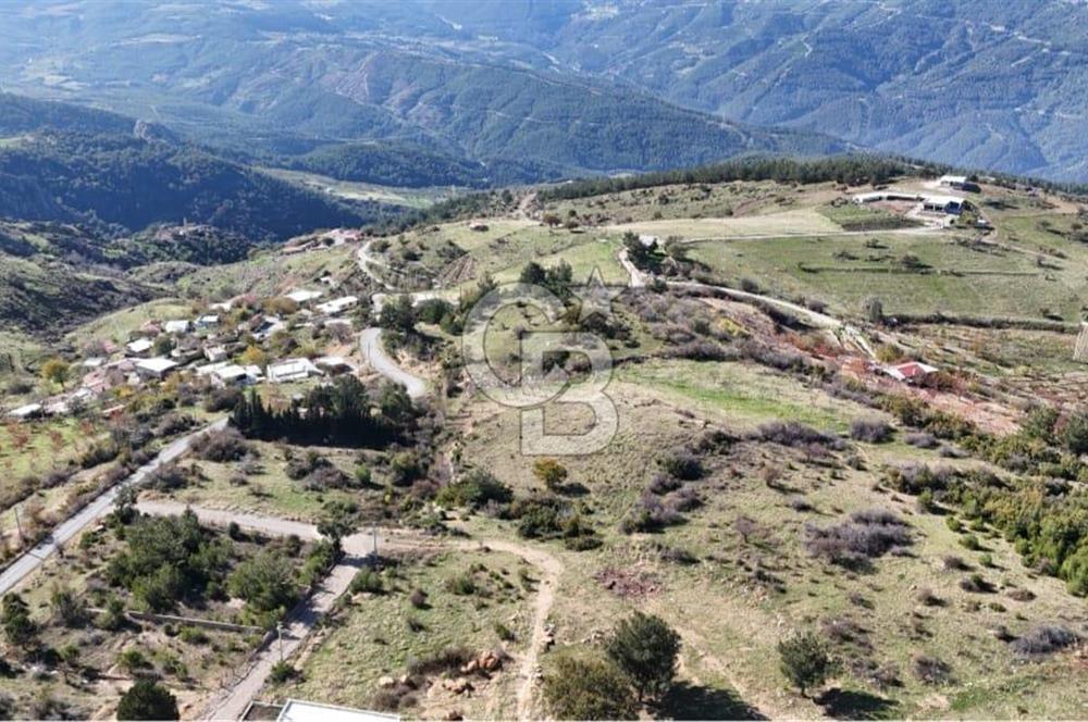 Manisa Yunusemre Satılık Tarla: 4164m² Kadastral Yola Cepheli