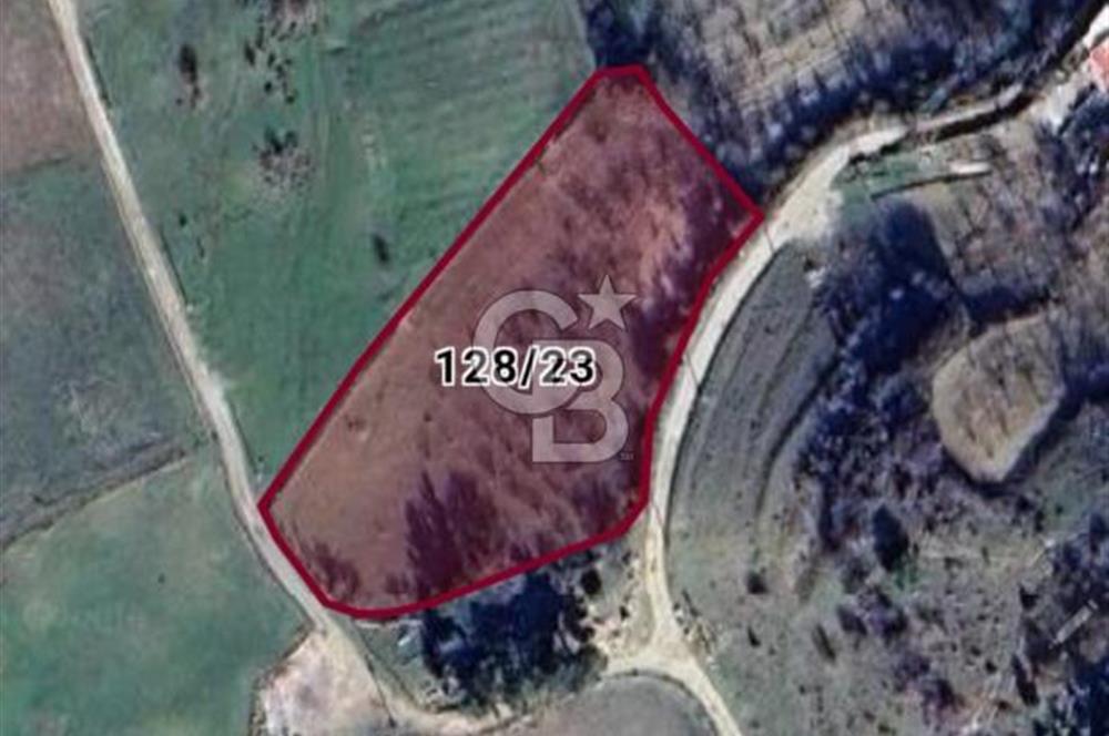 Manisa Yunusemre Satılık Tarla: 4164m² Kadastral Yola Cepheli