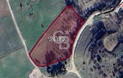 Manisa Yunusemre Satılık Tarla: 4164m² Kadastral Yola Cepheli