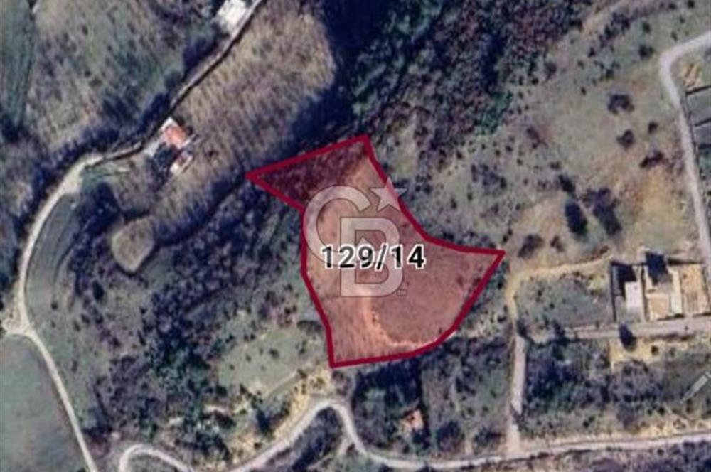 Manisa Yunusemre Satılık Tarla 7.874 m² - Turgutalp Yakını