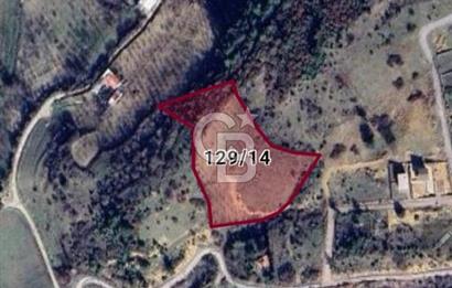 Manisa Yunusemre Satılık Tarla 7.874 m² - Turgutalp Yakını