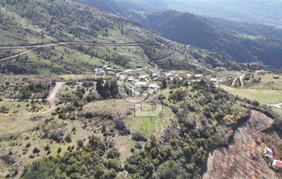 Manisa Yunusemre Satılık Tarla 7.874 m² - Turgutalp Yakını