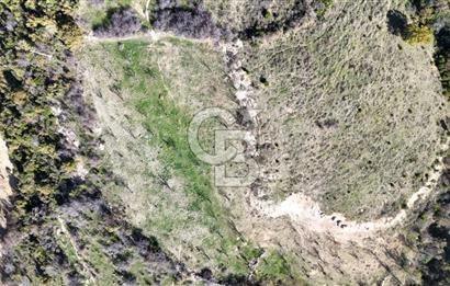 Manisa Yunusemre Satılık Tarla 7.874 m² - Turgutalp Yakını