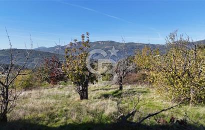 Manisa Yunusemre Turgutalp Karakoca Mevkii 4.109m2 Satılık Tarla