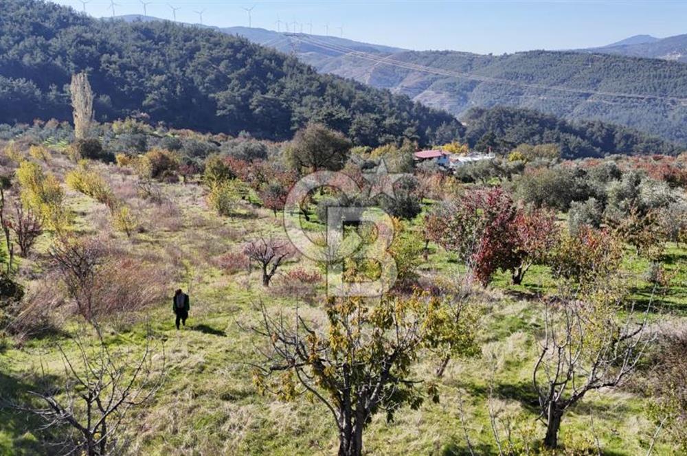 Manisa Yunusemre Turgutalp Karakoca Mevkii 4.109m2 Satılık Tarla