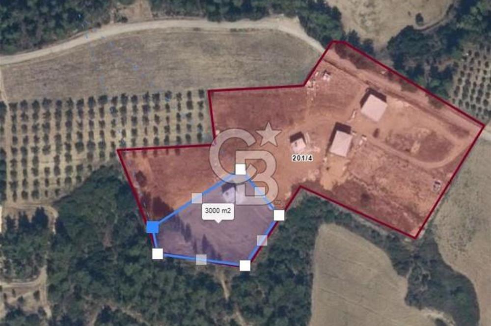 Çukurova Dörtler'de 3.000m² Doğayla İç İçe Yatırımlık Arsa