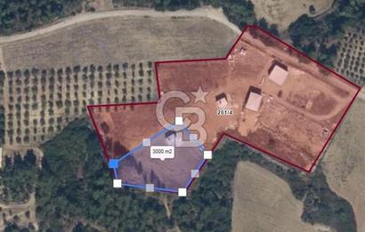 Çukurova Dörtler'de 3.000m² Doğayla İç İçe Yatırımlık Arsa