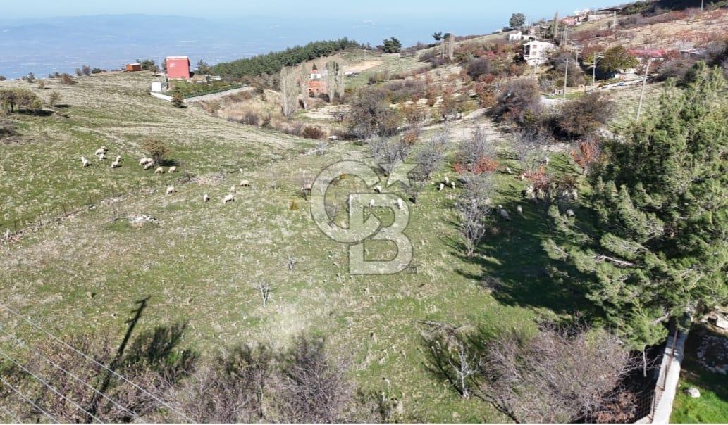 Manisa Yunusemre Satılık Tarla: 4164m² Kadastral Yola Cepheli