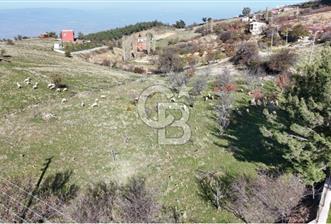 Manisa Yunusemre Satılık Tarla: 4164m² Kadastral Yola Cepheli - 1 - 340912