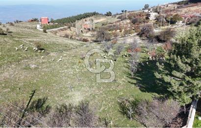 Manisa Yunusemre Satılık Tarla: 4164m² Kadastral Yola Cepheli