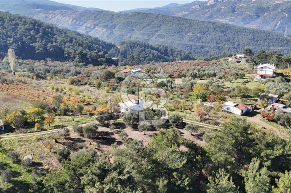 Manisa Yunusemre Turgutalp Karakoca Mevkii 4.109m2 Satılık Tarla