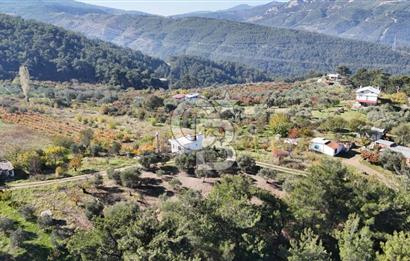 Manisa Yunusemre Turgutalp Karakoca Mevkii 4.109m2 Satılık Tarla