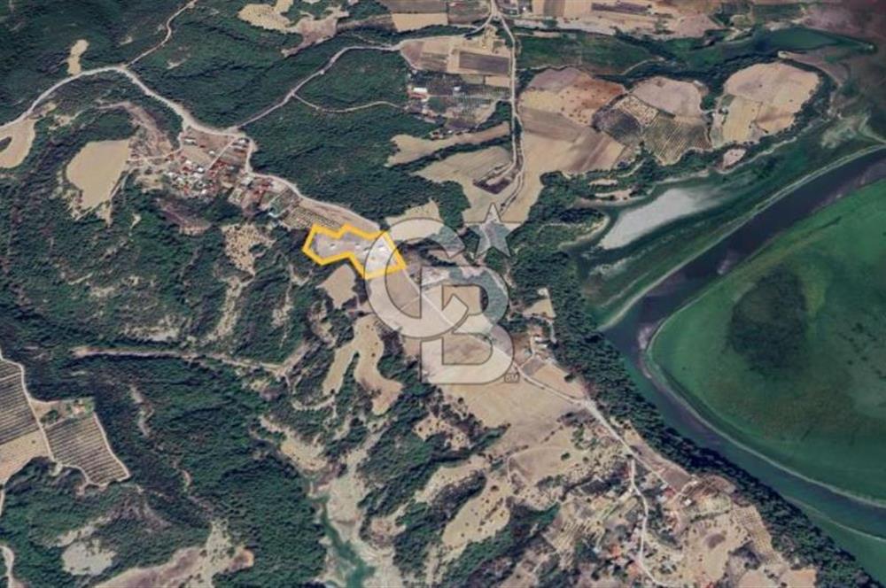 Çukurova Dörtler'de 3.000m² Doğayla İç İçe Yatırımlık Arsa