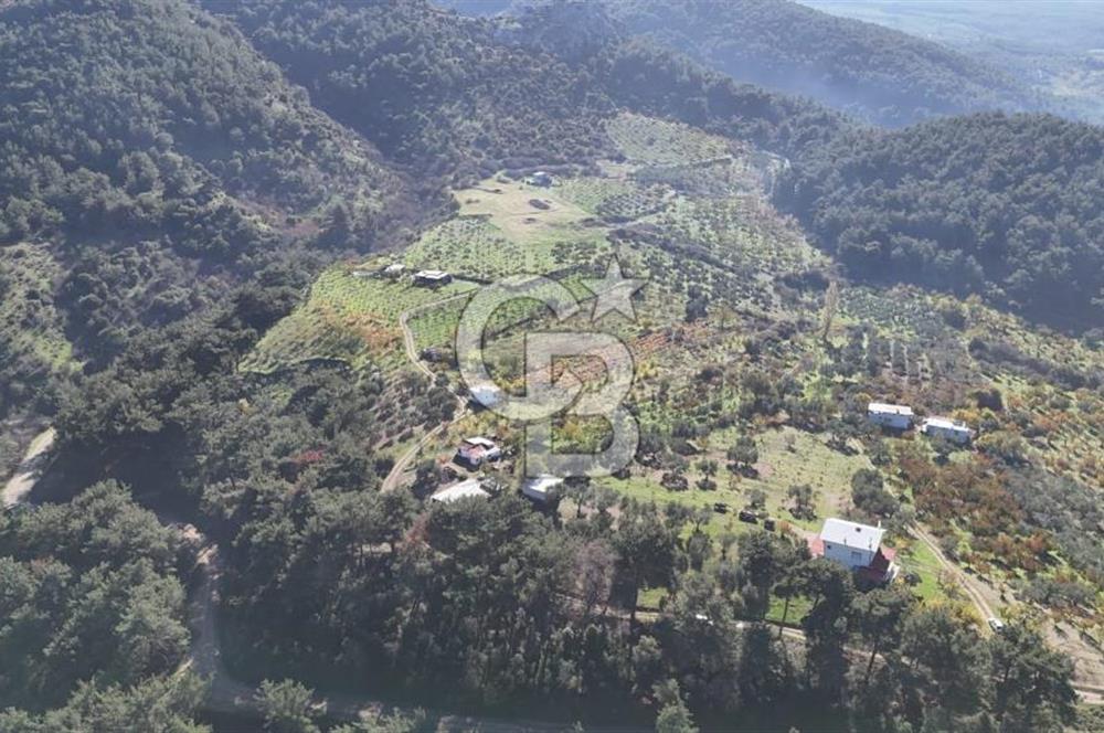 Manisa Yunusemre Turgutalp Karakoca Mevkii 4.109m2 Satılık Tarla