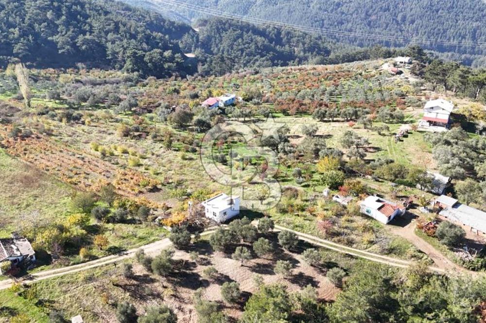 Manisa Yunusemre Turgutalp Karakoca Mevkii 4.109m2 Satılık Tarla