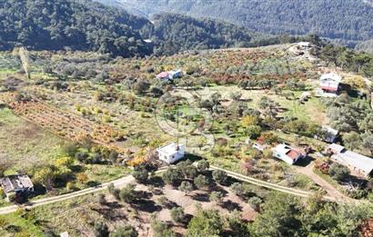 Manisa Yunusemre Turgutalp Karakoca Mevkii 4.109m2 Satılık Tarla
