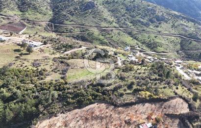 Manisa Yunusemre Satılık Tarla 7.874 m² - Turgutalp Yakını