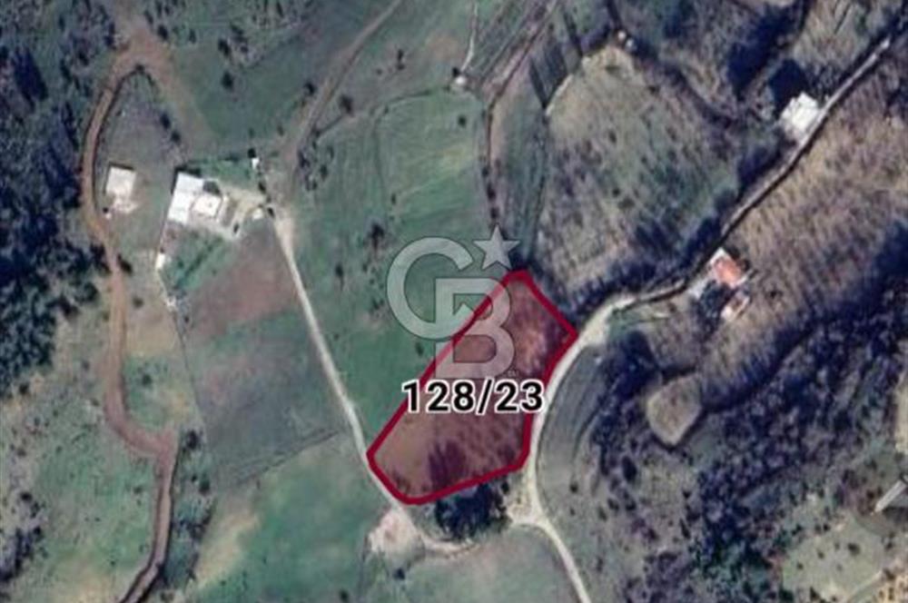 Manisa Yunusemre Satılık Tarla: 4164m² Kadastral Yola Cepheli