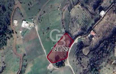 Manisa Yunusemre Satılık Tarla: 4164m² Kadastral Yola Cepheli