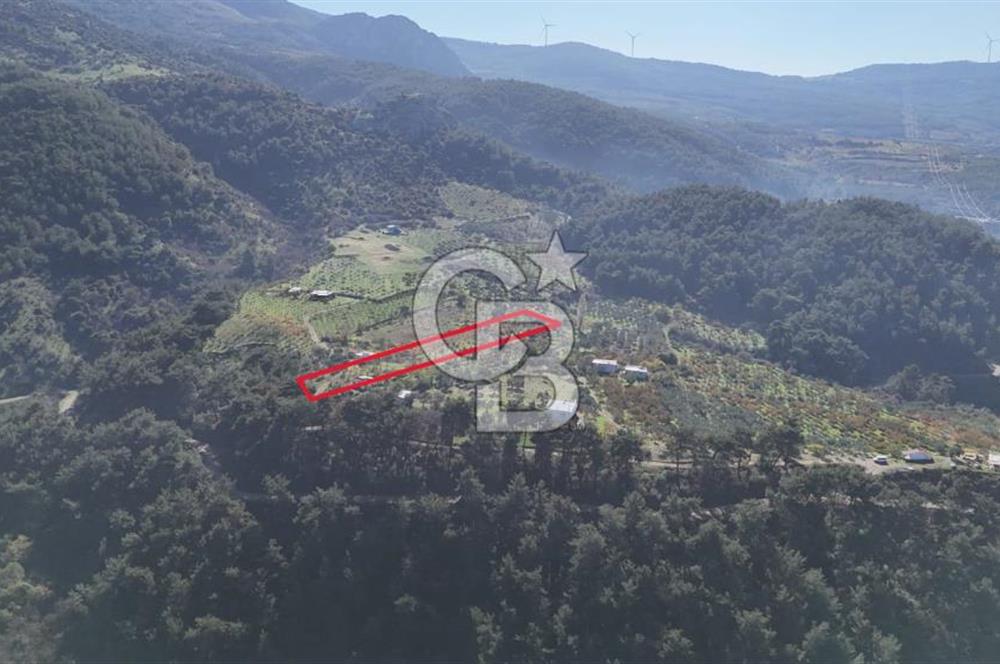 Manisa Yunusemre Turgutalp Karakoca Mevkii 4.109m2 Satılık Tarla