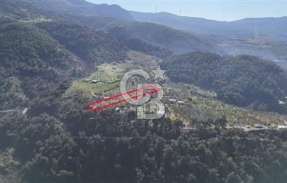 Manisa Yunusemre Turgutalp Karakoca Mevkii 4.109m2 Satılık Tarla