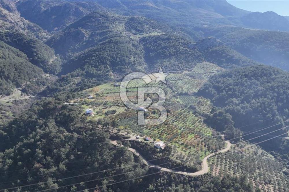 Manisa Yunusemre Turgutalp Karakoca Mevkii 4.109m2 Satılık Tarla