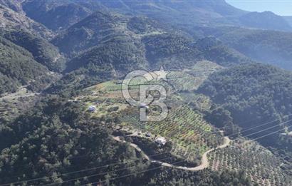 Manisa Yunusemre Turgutalp Karakoca Mevkii 4.109m2 Satılık Tarla