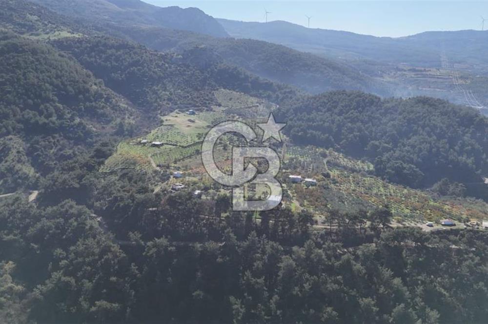 Manisa Yunusemre Turgutalp Karakoca Mevkii 4.109m2 Satılık Tarla