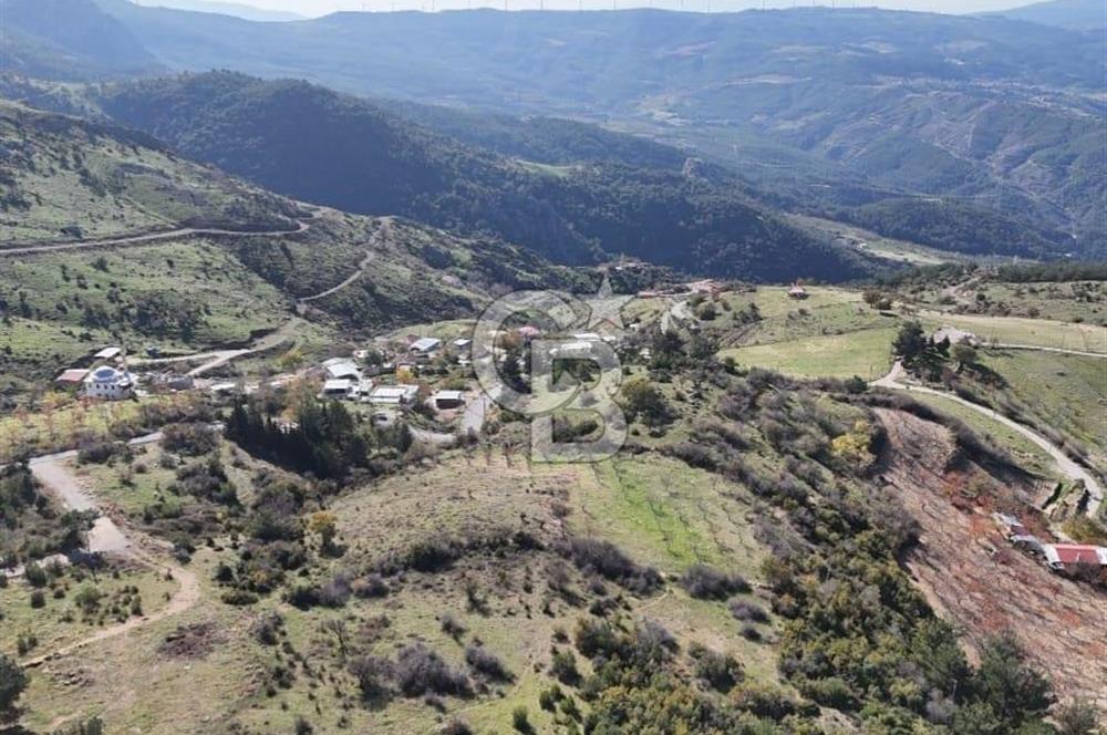 Manisa Yunusemre Satılık Tarla: 4164m² Kadastral Yola Cepheli