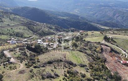 Manisa Yunusemre Satılık Tarla: 4164m² Kadastral Yola Cepheli