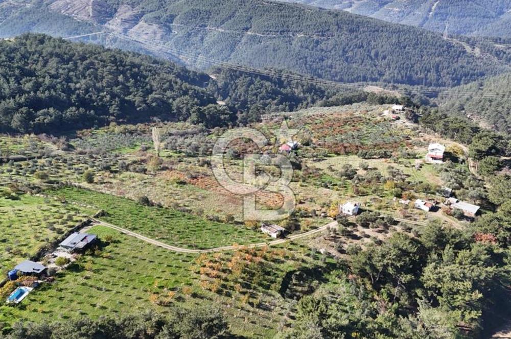 Manisa Yunusemre Turgutalp Karakoca Mevkii 4.109m2 Satılık Tarla