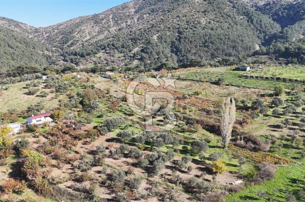 Manisa Yunusemre Turgutalp Karakoca Mevkii 4.109m2 Satılık Tarla