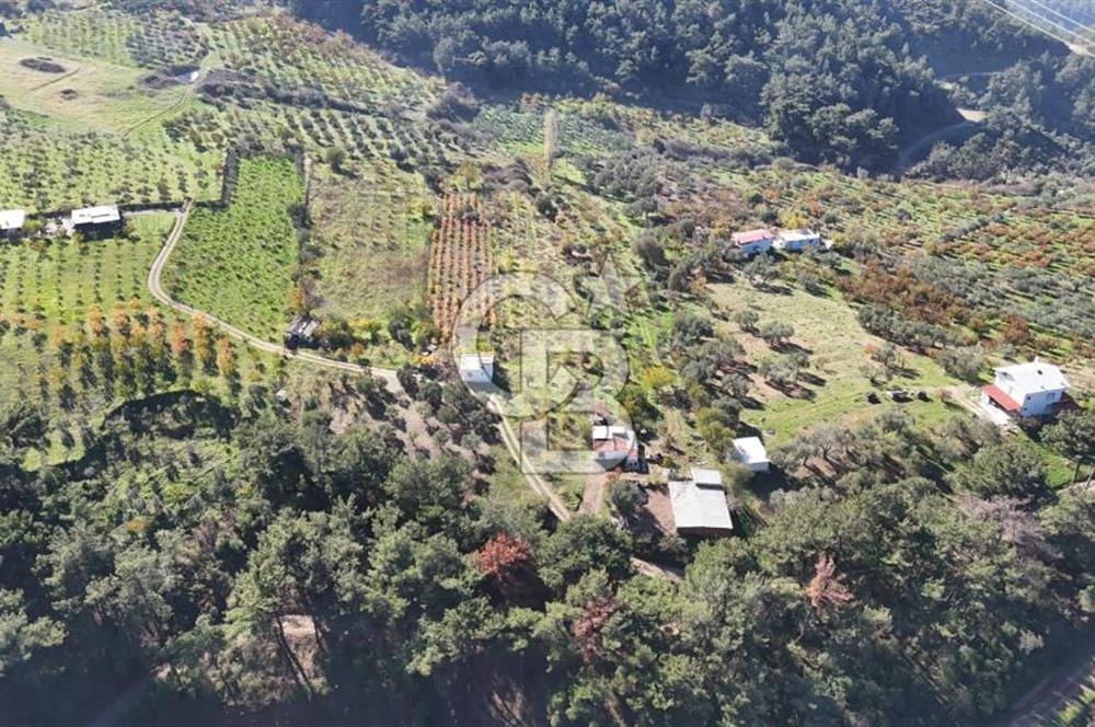 Manisa Yunusemre Turgutalp Karakoca Mevkii 4.109m2 Satılık Tarla