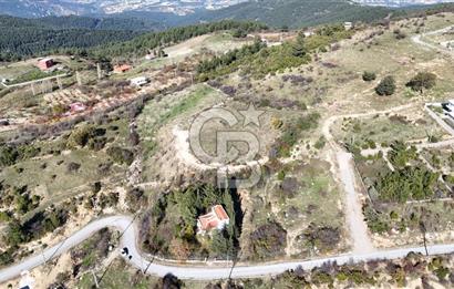 Manisa Yunusemre Satılık Tarla 7.874 m² - Turgutalp Yakını