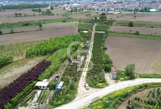 SAĞLIK VE EĞİTİM SEKTÖRÜNE UYGUN KİRALIK DÜKKAN VE OFİSLER - 3 - 340918