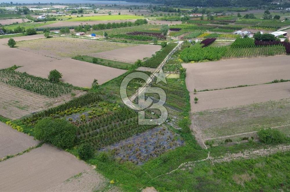 SAĞLIK VE EĞİTİM SEKTÖRÜNE UYGUN KİRALIK DÜKKAN VE OFİSLER