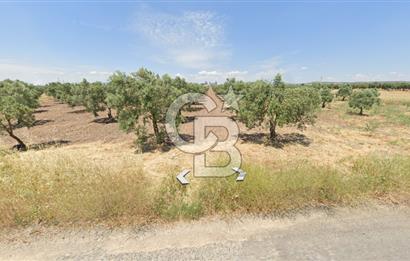 Manisa Akhisarda Satılık 16.826 m² Yatırımlık Arsa