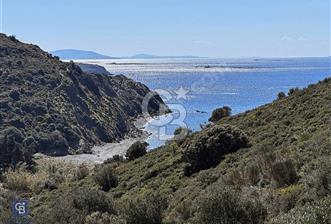 Karaburun Sarpıncıkta Deniz Manzaralı 2.5 Dönüm Zeytinlik - 2 - 340878