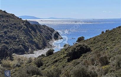 Karaburun Sarpıncıkta Deniz Manzaralı 2.5 Dönüm Zeytinlik
