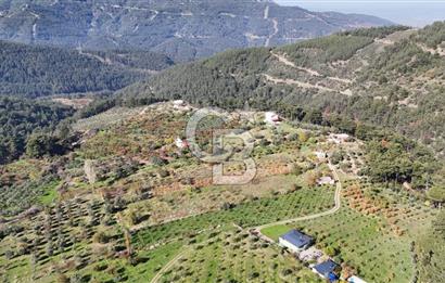 Manisa Yunusemre Turgutalp Karakoca Mevkii 4.109m2 Satılık Tarla