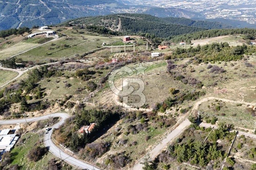 Manisa Yunusemre Satılık Tarla: 4164m² Kadastral Yola Cepheli